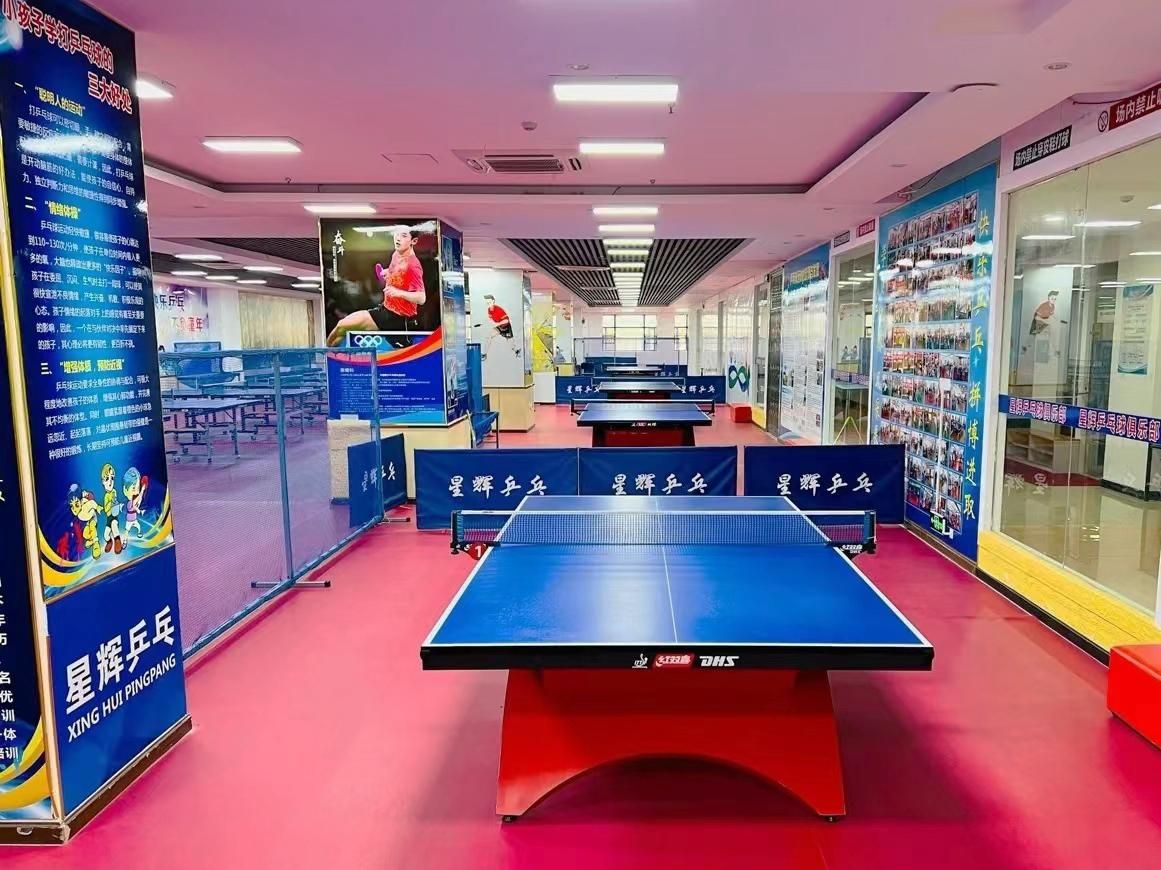 Table tennis sport flooring
